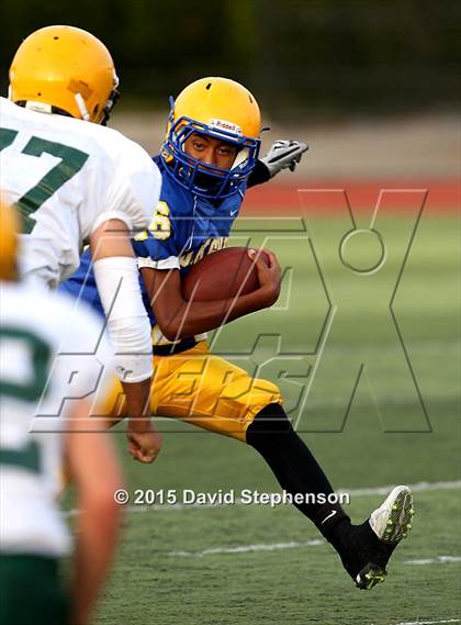 Thumbnail 3 in Live Oak @ Oak Grove photogallery.