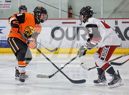 Thumbnail 2 in D3 Corona @ Mountain Ridge JV photogallery.