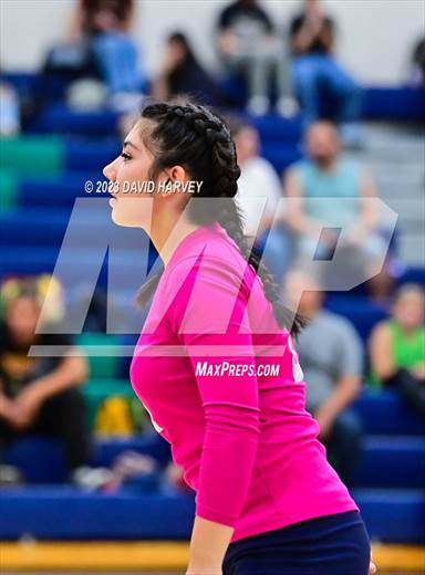 null - Photo 01