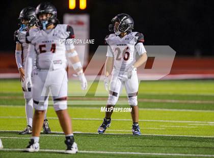 Thumbnail 2 in FR: Norman @ Mustang photogallery.