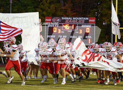 Thumbnail 2 in Loudon @ Signal Mountain photogallery.