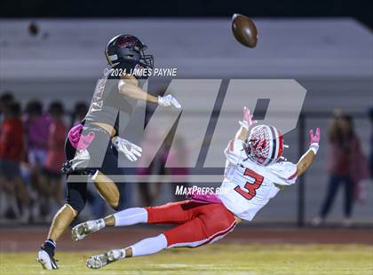 Thumbnail 1 in Loudon @ Signal Mountain photogallery.