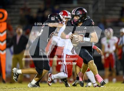 Thumbnail 3 in Loudon @ Signal Mountain photogallery.