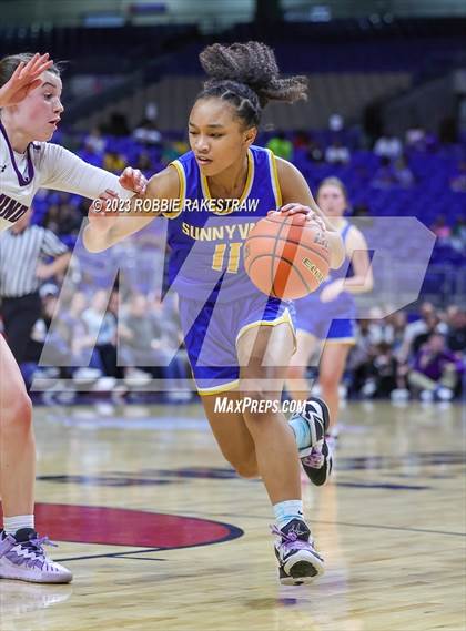 Thumbnail 1 in Boerne vs. Sunnyvale (UIL 4A Basketball State Semifinal) photogallery.