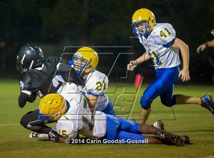 Thumbnail 3 in Richlands @ Havelock photogallery.