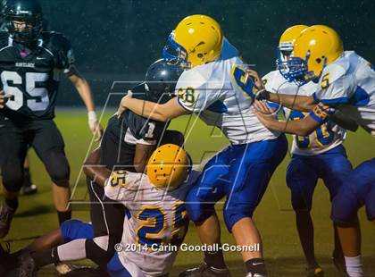 Thumbnail 2 in Richlands @ Havelock photogallery.