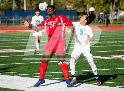 Thumbnail 1 in St. Brendan @ Monsignor Pace photogallery.