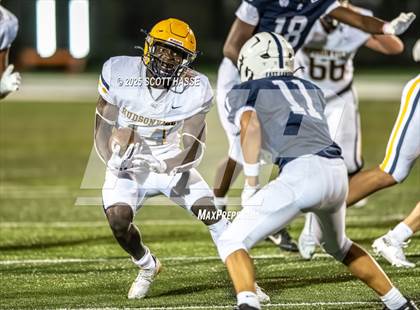 Thumbnail 2 in Hudsonville @ East Lansing photogallery.