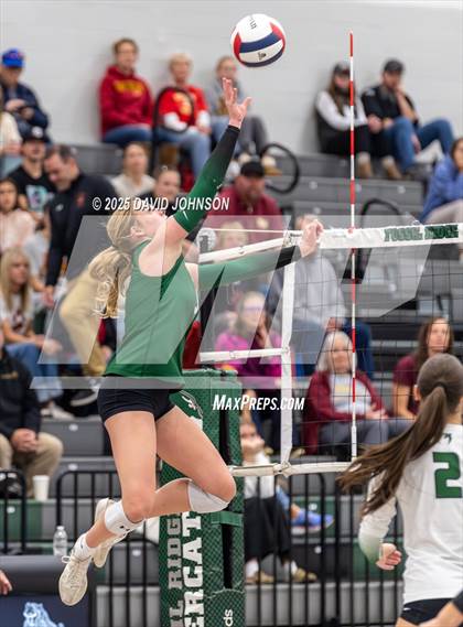 Thumbnail 2 in Rocky Mountain @ Fossil Ridge (CHSAA 5A Region 1) photogallery.