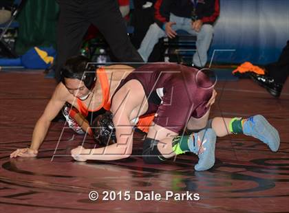 Thumbnail 3 in NYSPHSAA Wrestling Championships (Opening Ceremonies, Division 2 Preliminaries) photogallery.
