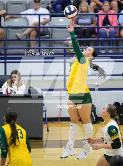 Thumbnail 2 in Boyd @ Peaster photogallery.