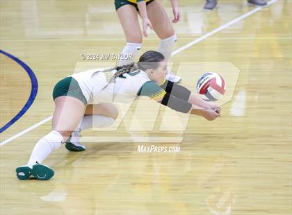 Thumbnail 1 in Boyd @ Peaster photogallery.