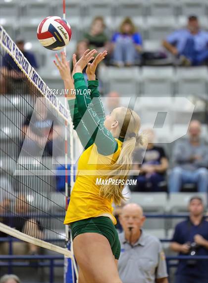 Thumbnail 3 in Boyd @ Peaster photogallery.