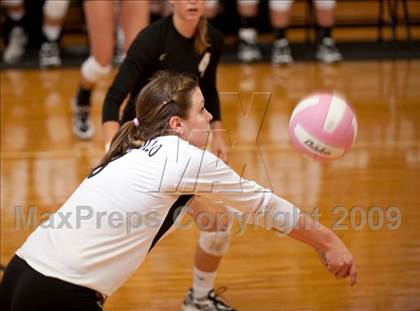 Thumbnail 1 in Amarillo @ Alamo Heights (Pearland Volleyball Classic) photogallery.