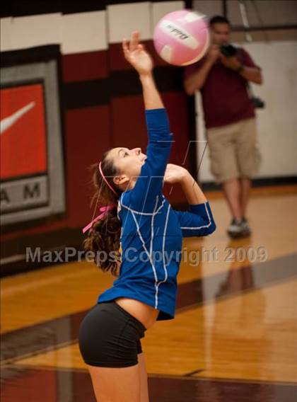 Thumbnail 1 in Amarillo @ Alamo Heights (Pearland Volleyball Classic) photogallery.