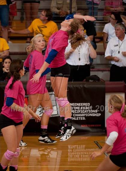 Thumbnail 3 in Amarillo @ Alamo Heights (Pearland Volleyball Classic) photogallery.