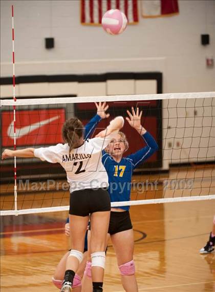 Thumbnail 2 in Amarillo @ Alamo Heights (Pearland Volleyball Classic) photogallery.