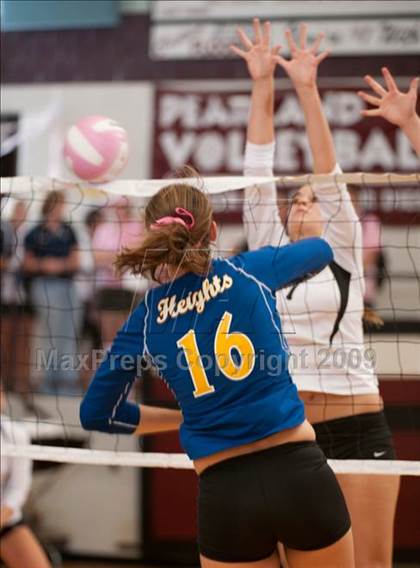 Thumbnail 3 in Amarillo @ Alamo Heights (Pearland Volleyball Classic) photogallery.
