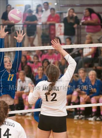 Thumbnail 3 in Amarillo @ Alamo Heights (Pearland Volleyball Classic) photogallery.