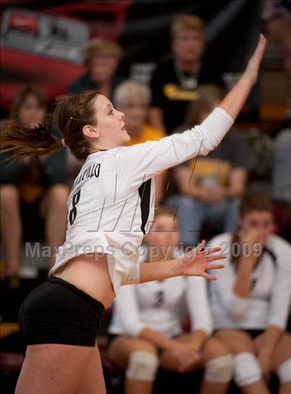 Thumbnail 3 in Amarillo @ Alamo Heights (Pearland Volleyball Classic) photogallery.