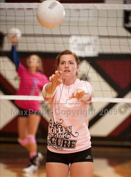 Thumbnail 2 in Amarillo @ Alamo Heights (Pearland Volleyball Classic) photogallery.
