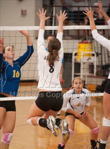 Thumbnail 2 in Amarillo @ Alamo Heights (Pearland Volleyball Classic) photogallery.