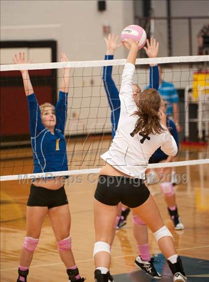 Thumbnail 3 in Amarillo @ Alamo Heights (Pearland Volleyball Classic) photogallery.