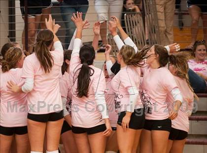 Thumbnail 1 in Amarillo @ Alamo Heights (Pearland Volleyball Classic) photogallery.