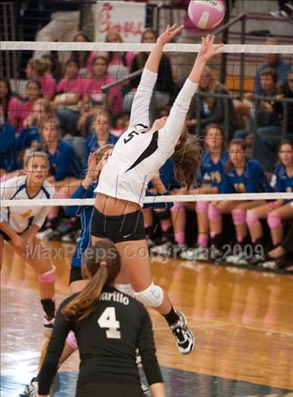 Thumbnail 3 in Amarillo @ Alamo Heights (Pearland Volleyball Classic) photogallery.