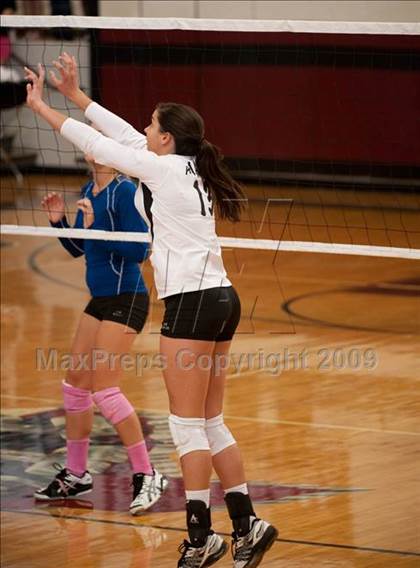 Thumbnail 3 in Amarillo @ Alamo Heights (Pearland Volleyball Classic) photogallery.