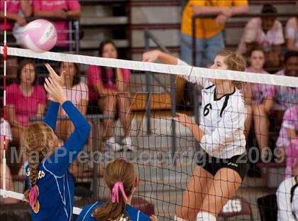 Thumbnail 3 in Amarillo @ Alamo Heights (Pearland Volleyball Classic) photogallery.