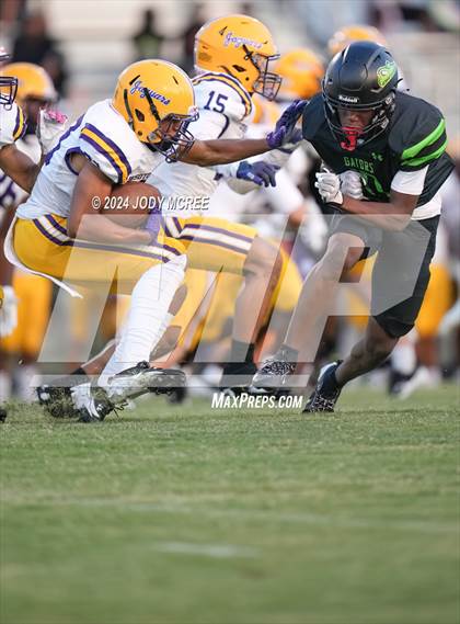 Thumbnail 3 in DeSoto Central @ Lake Cormorant photogallery.