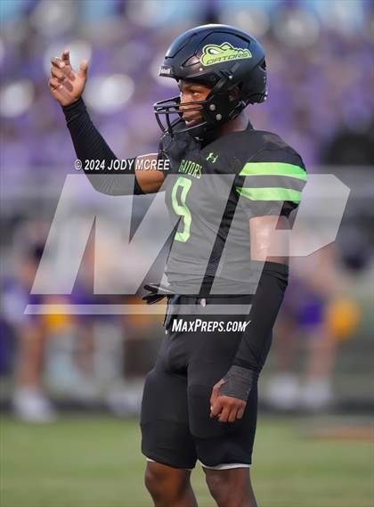 Thumbnail 3 in DeSoto Central @ Lake Cormorant photogallery.