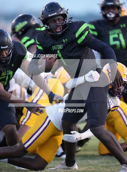 Thumbnail 1 in DeSoto Central @ Lake Cormorant photogallery.