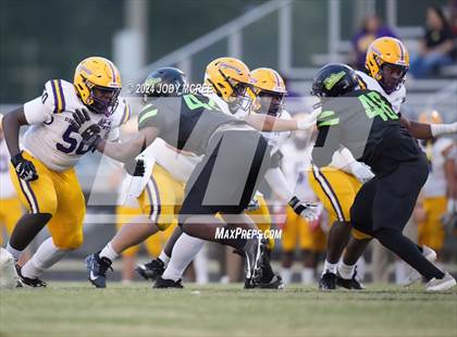 Thumbnail 1 in DeSoto Central @ Lake Cormorant photogallery.