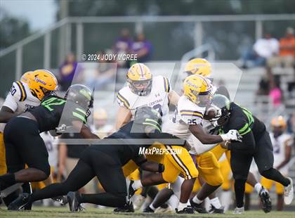 Thumbnail 2 in DeSoto Central @ Lake Cormorant photogallery.