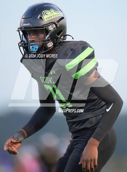 Thumbnail 3 in DeSoto Central @ Lake Cormorant photogallery.