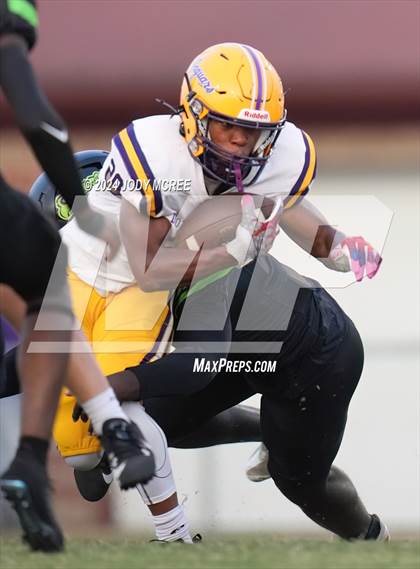 Thumbnail 2 in DeSoto Central @ Lake Cormorant photogallery.