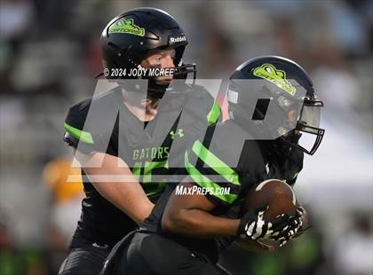 Thumbnail 3 in DeSoto Central @ Lake Cormorant photogallery.