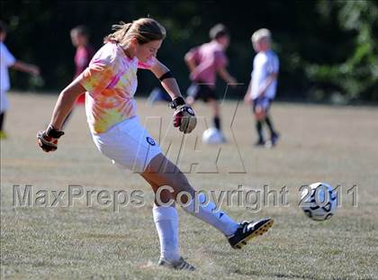 Thumbnail 3 in Pine Grove @ Lancaster Country Day photogallery.