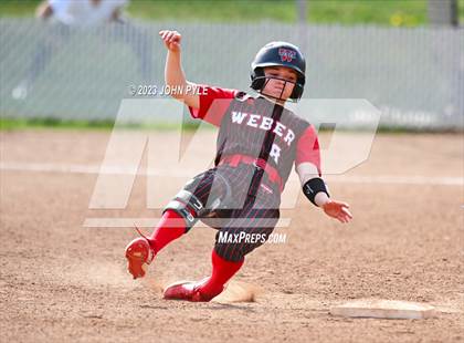 Thumbnail 3 in Fremont @ Weber photogallery.