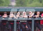 Photo from the gallery "Logan Elm vs. Waverly"