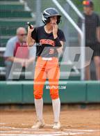 Photo from the gallery "Logan Elm vs. Waverly"