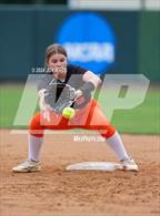 Photo from the gallery "Logan Elm vs. Waverly"