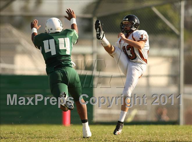 null - Photo 11
