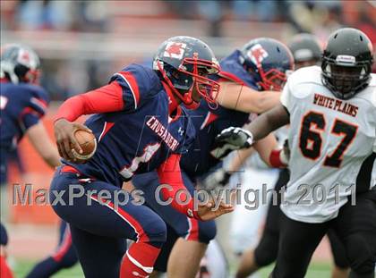 Thumbnail 2 in White Plains @ Archbishop Stepinac photogallery.
