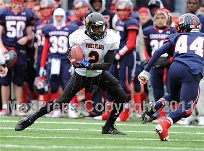 Thumbnail 2 in White Plains @ Archbishop Stepinac photogallery.