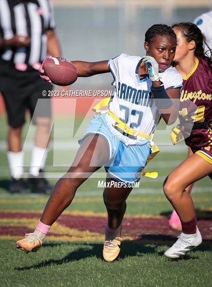 Thumbnail 3 in Ramona @ Arlington photogallery.