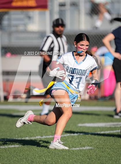 Thumbnail 1 in Ramona @ Arlington photogallery.