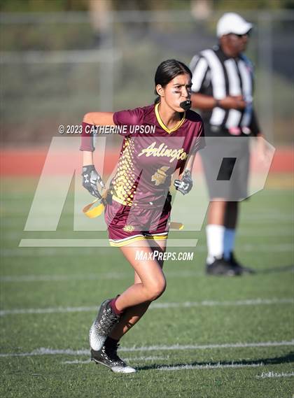 Thumbnail 3 in Ramona @ Arlington photogallery.